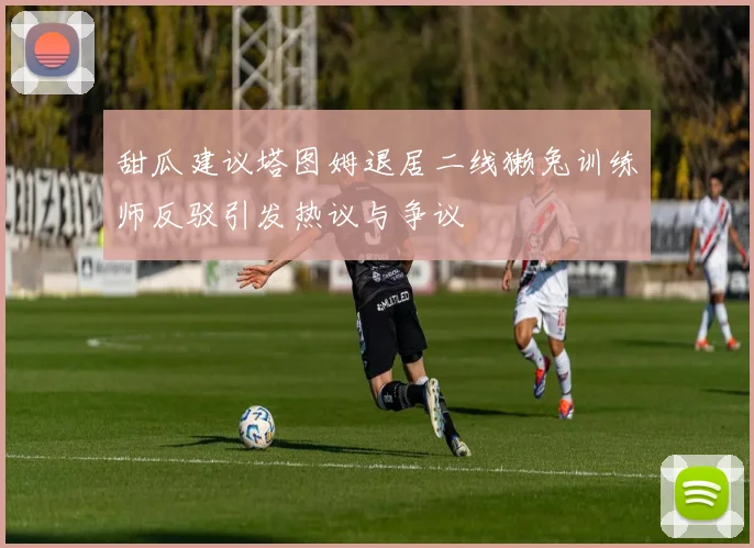 甜瓜建议塔图姆退居二线獭兔训练师反驳引发热议与争议